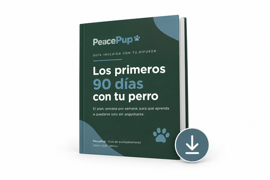 Ebook Los Primeros 90 Días