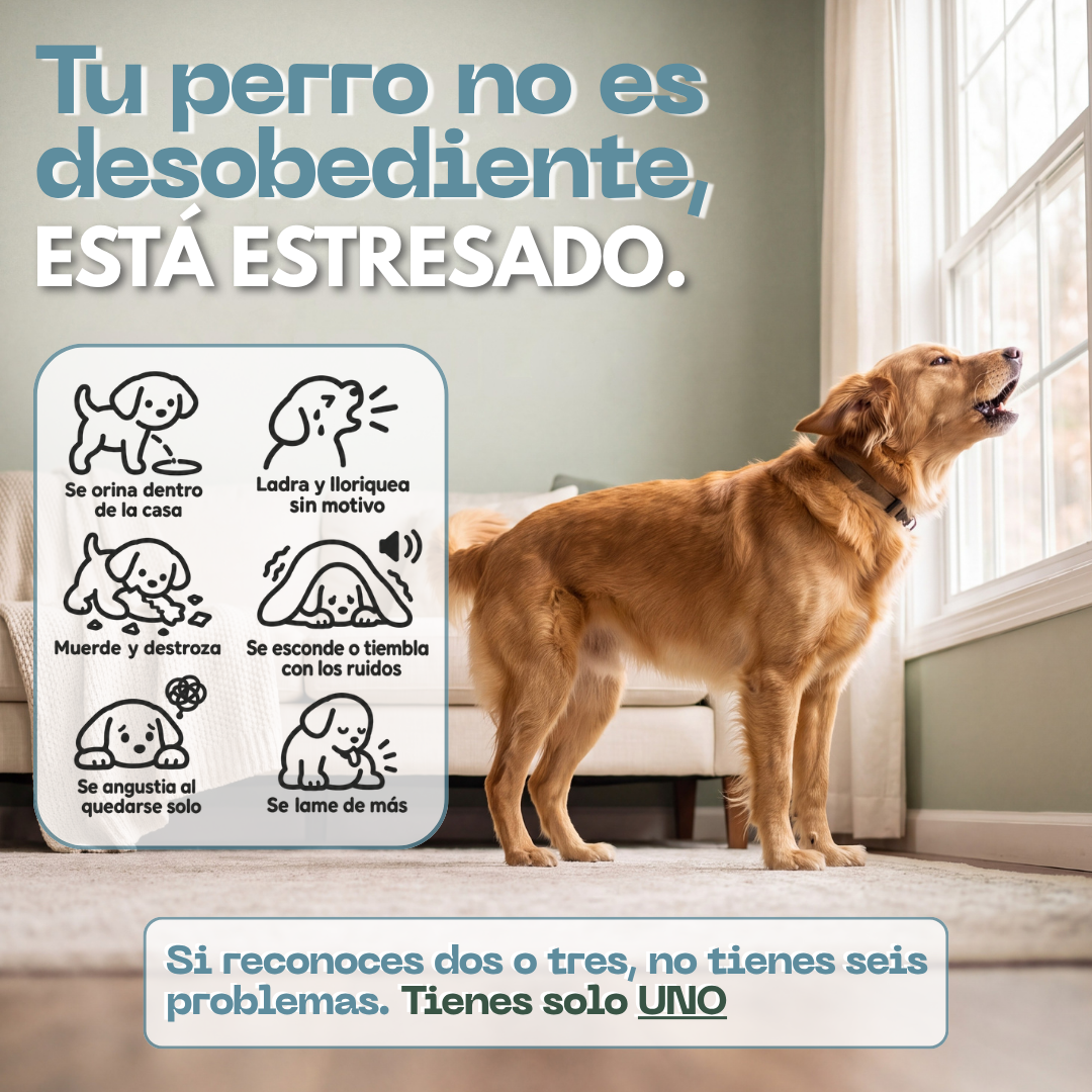Difusor de Feromonas Calmantes para Perros